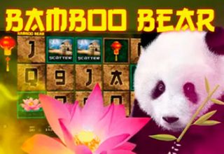 Bamboo Bear